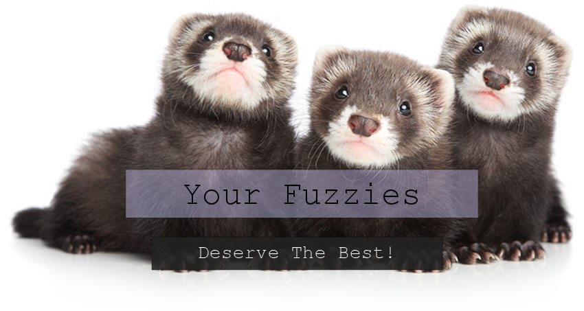 Your Fuzzies Deserve The Best